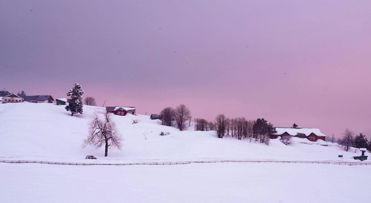 Tempting kashmir honeymoon